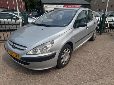 Peugeot 307 1.6 elektr ramen, cruise control, APK 06-2026
